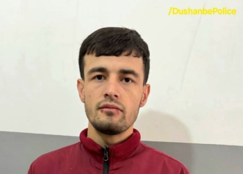 В Душанбе задержан подозреваемый в серии краж