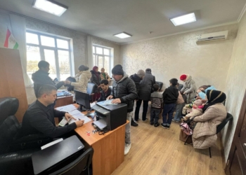 Консульская служба Таджикистана провела выездное мероприятие в Краснодаре для решения проблем граждан