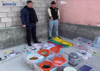 В Узбекистане обнаружили тайник с опиумом из Таджикистана