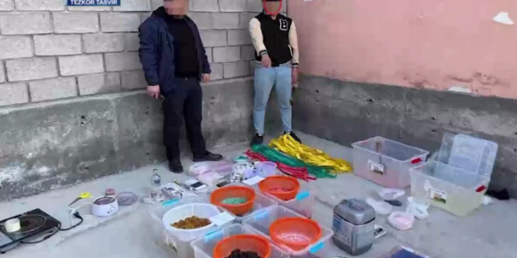 В Узбекистане обнаружили тайник с опиумом из Таджикистана
