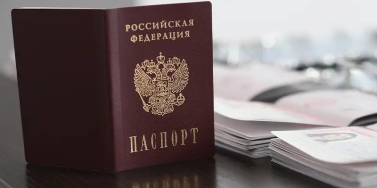 В 2024 году число получивших гражданство России сократилось почти на 45%