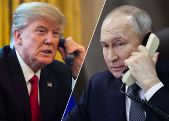Трамп и Путин обсудили возможное перемирие в Украине