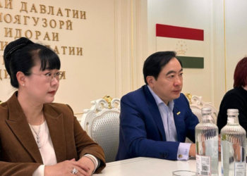 Таджикистан представил свои инвестиционные возможности вьетнамским компаниям
