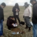 Таджикистан и Китай изучают марокканскую саранчу для борьбы с вредителями