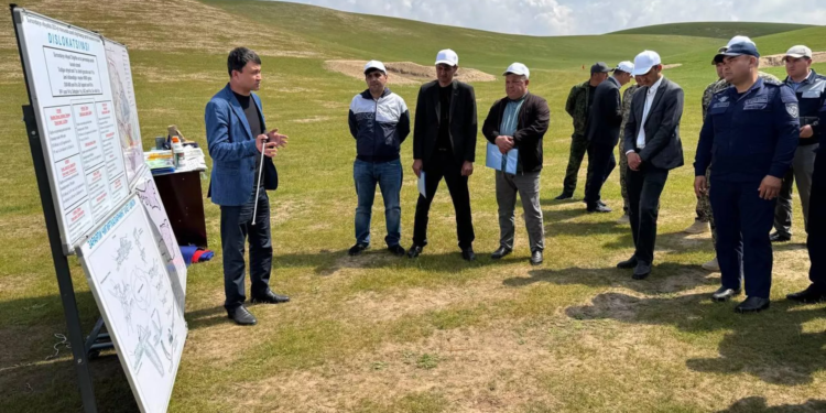 Узбекистан и Таджикистан начали совместную борьбу с нашествием марокканской саранчи