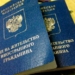 Врачи и педагоги исключены из перечня для упрощённого ВНЖ в России