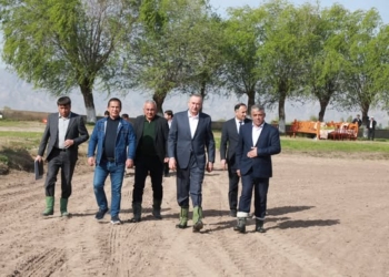 В Хатлонской области стартовали работы по посеву хлопка на площади 124,5 тыс. гектаров