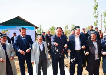 В Джаббор Расуловском районе стартовала кампания по посеву хлопчатника