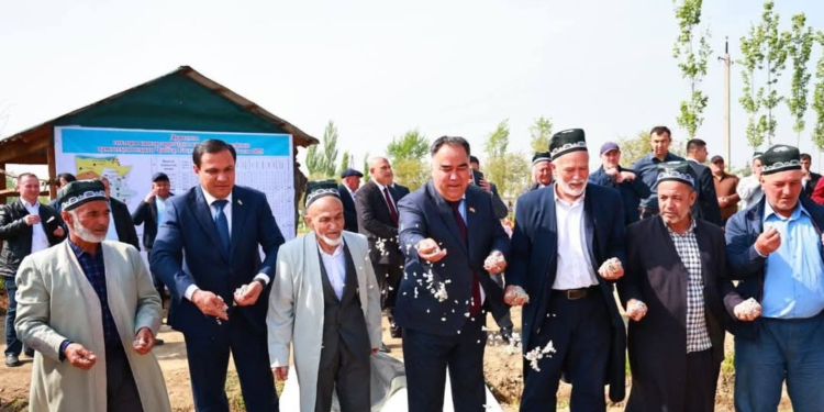 В Джаббор Расуловском районе стартовала кампания по посеву хлопчатника