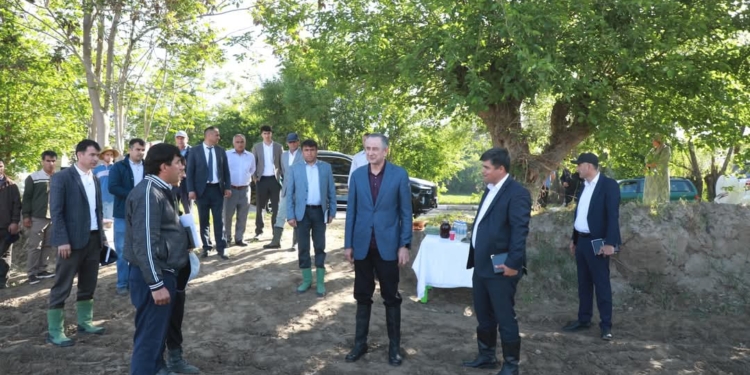 В Пянджском районе под хлопок отведено 700 га, под пшеницу — 453 га