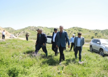 В Хатлонской области активизировали борьбу с марокканской саранчой