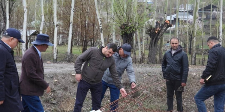 В Шугнане заложен образцовый сад: высажены 3 тысячи деревьев
