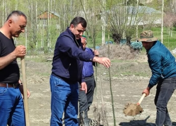 В Шугнане в новом саду высажено 70 саженцев грецкого ореха