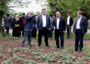 Вице-премьер Таджикистана оценил ход сельхозработ в Гиссарском районе