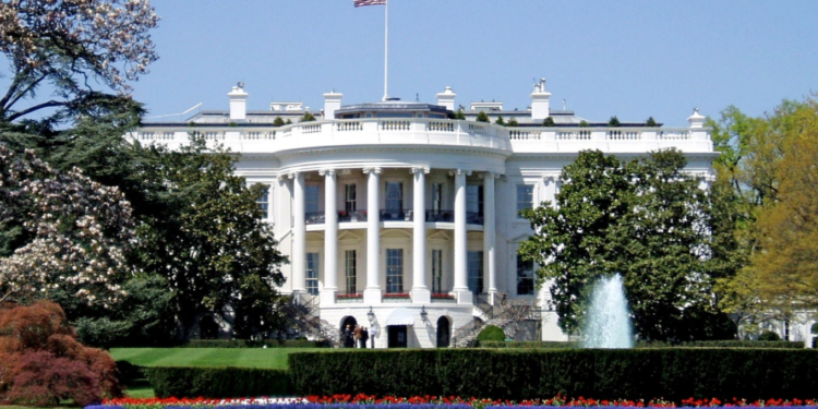 Трамп впервые с инаугурации ввел новые санкции против российских компаний