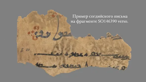 Согдийские документы с горы Муг вошли в международный реестр «Память мира» ЮНЕСКО