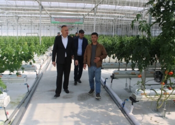 В Пенджикенте автоматизированные теплицы дали свыше 35 тонн урожая