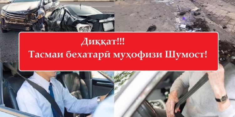В Таджикистане проводится акция «Ремень безопасности – ваша защита»