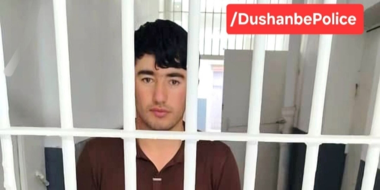 В Душанбе задержан подозреваемый в серии краж
