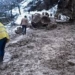 На автотрассе Душанбе – Хорог в Рушане сошла снежная лавина