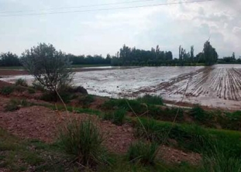 Более 30 гектаров сельхозугодий пострадали от селей в Таджикистане