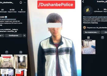 В Душанбе задержан 17-летний мошенник, обманывавший граждан через Instagram