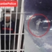 В Душанбе задержан подросток, подозреваемый в серии краж из автомобилей