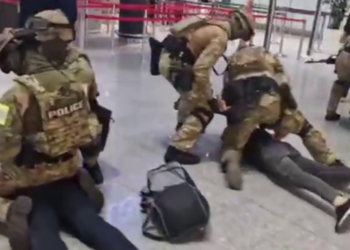 В ходе операции ОДКБ «Канал-Горный форпост» изъято свыше 1,7 тонны наркотиков