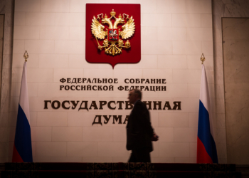 В Госдуме РФ предложили платить россиянам за информацию о нелегальных мигрантах
