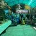 В Минске отметили Международный праздник Навруз