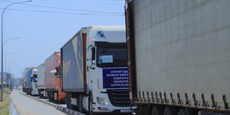 Хатлонская область экспортировала свыше 250 тонн сельхозпродукции