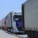 Хатлонская область экспортировала свыше 250 тонн сельхозпродукции