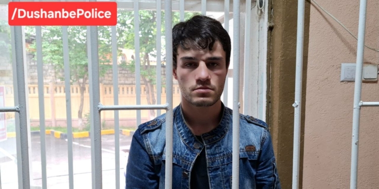 В Душанбе задержаны нарушители порядка, избившие пожилую женщину на проспекте Рудаки