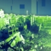 Армия Израиля начала снос больницы в секторе Газа, заблокировав внутри более 50 человек