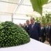 Эмомали Рахмон посетил современную теплицу торгового кооператива «Донахои Умед» в  Душанбе
