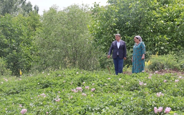 Заместитель Премьера Таджикистана ознакомился с аграрными работами в Раштском районе