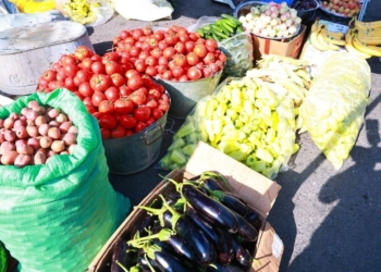 В Согдийской области прошла ярмарка сельхозпродукции