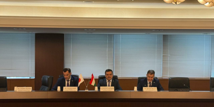 Таджикистан и Япония провели очередной раунд межмидовских консультаций