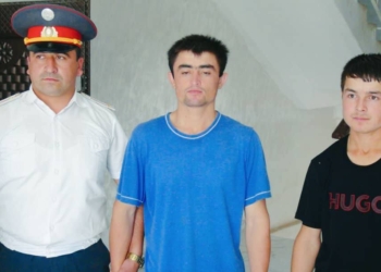 В Яване раскрыта серия краж скота: задержаны двое подозреваемых