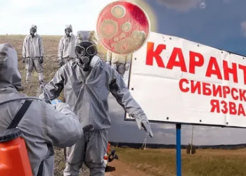 В Казахстане два села закрыли на карантин из-за сибирской язвы