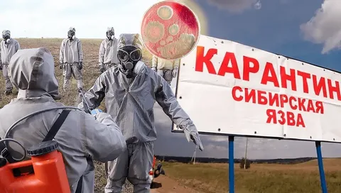 В Казахстане два села закрыли на карантин из-за сибирской язвы