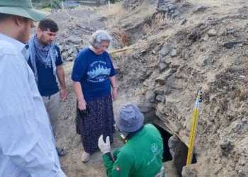 В селе Искодар Айнинского района начались археологические исследования