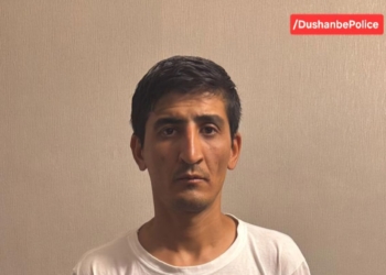 Ранее судимый житель Душанбе задержан по подозрению в серии краж