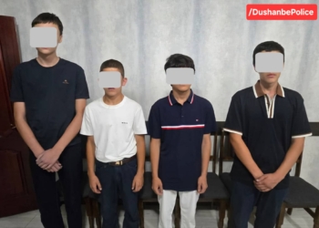 В Душанбе задержаны четверо подростков, подозреваемых в серии краж