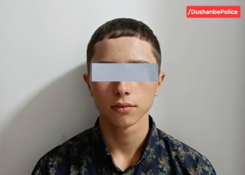 В Душанбе задержан 16-летний подозреваемый в краже мобильного телефона