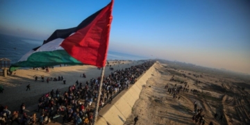 Канада намерена признать Палестину на сессии Генассамблеи ООН в сентябре