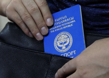 В России граждане Киргизии совершили 224 тыс. административных правонарушений