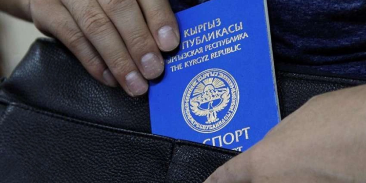 В России граждане Киргизии совершили 224 тыс. административных правонарушений