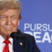 Трамп назвал встречу с Путиным очень продуктивной, но без окончательной договоренности