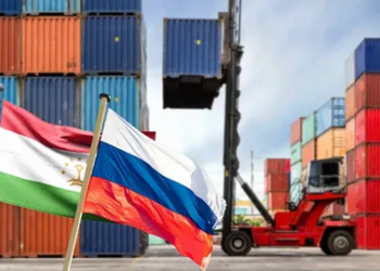 Товарооборот между Таджикистаном и РФ за полгода вырос на 11%